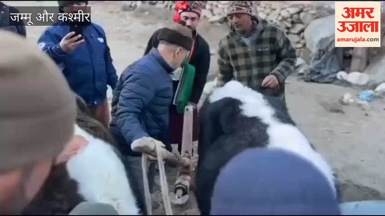 Bee Festival Celebrated at Garkone Village, Marking the Beginning of Agricultural Activities