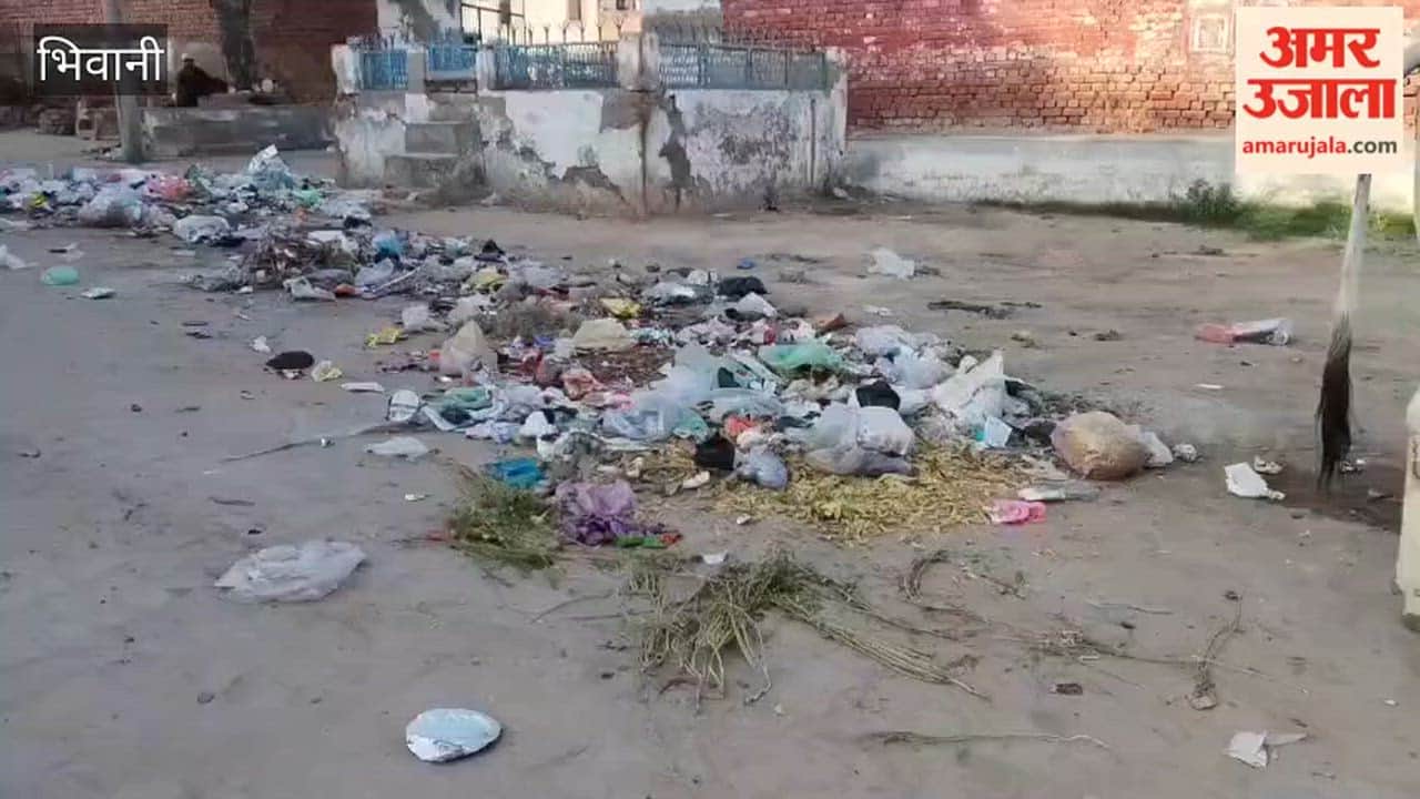 Sanitation work stalled in Loharu, Bhiwani, as 15 employees went on strike after not receiving their salaries for three months.