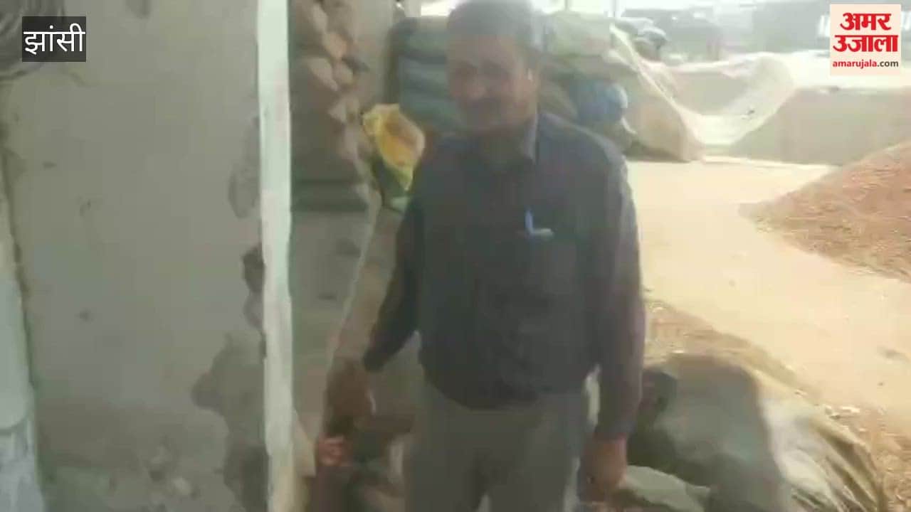 Rats have hollowed out the floors of shops in Jhansi's Bhojla Mandi.