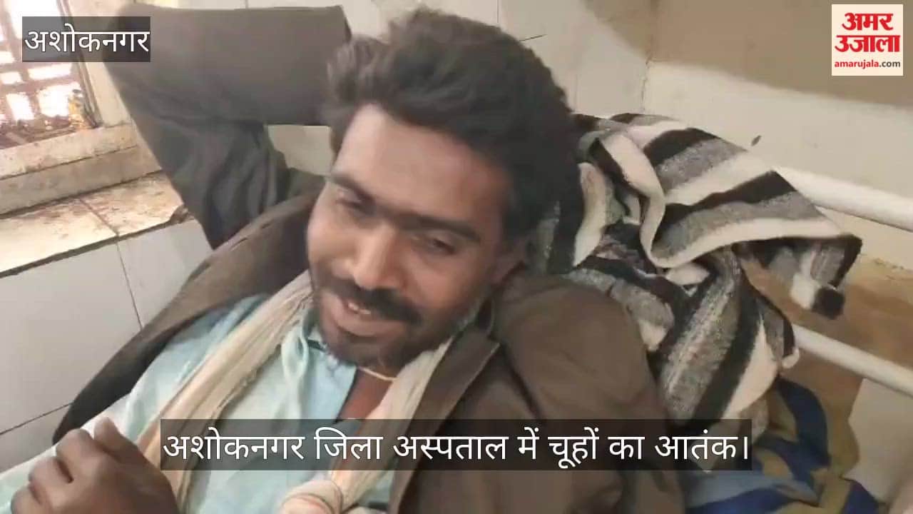 Rats in the district hospital pose a threat to patients' health and the risk of infection.