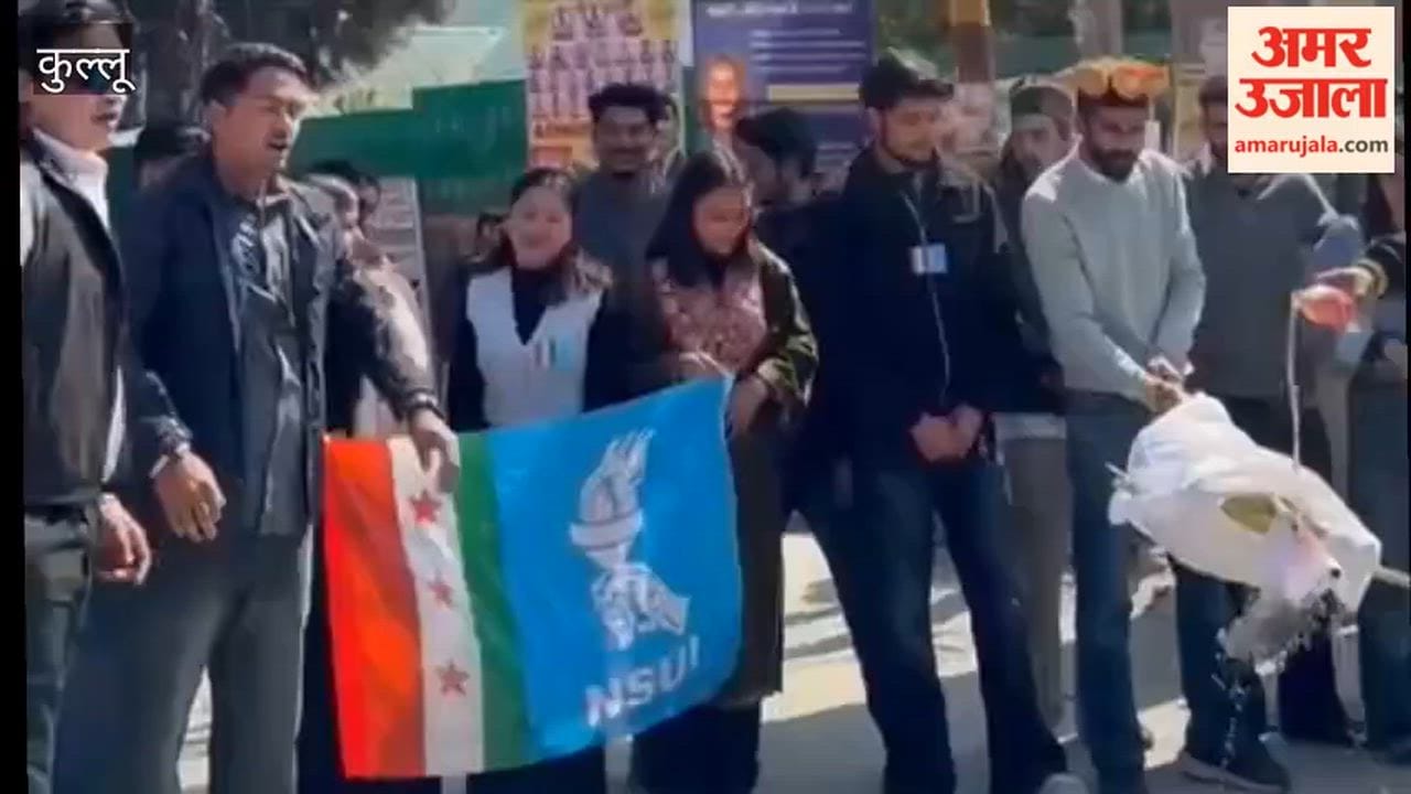 Kullu NSUI burns PM effigy after RDG is stopped