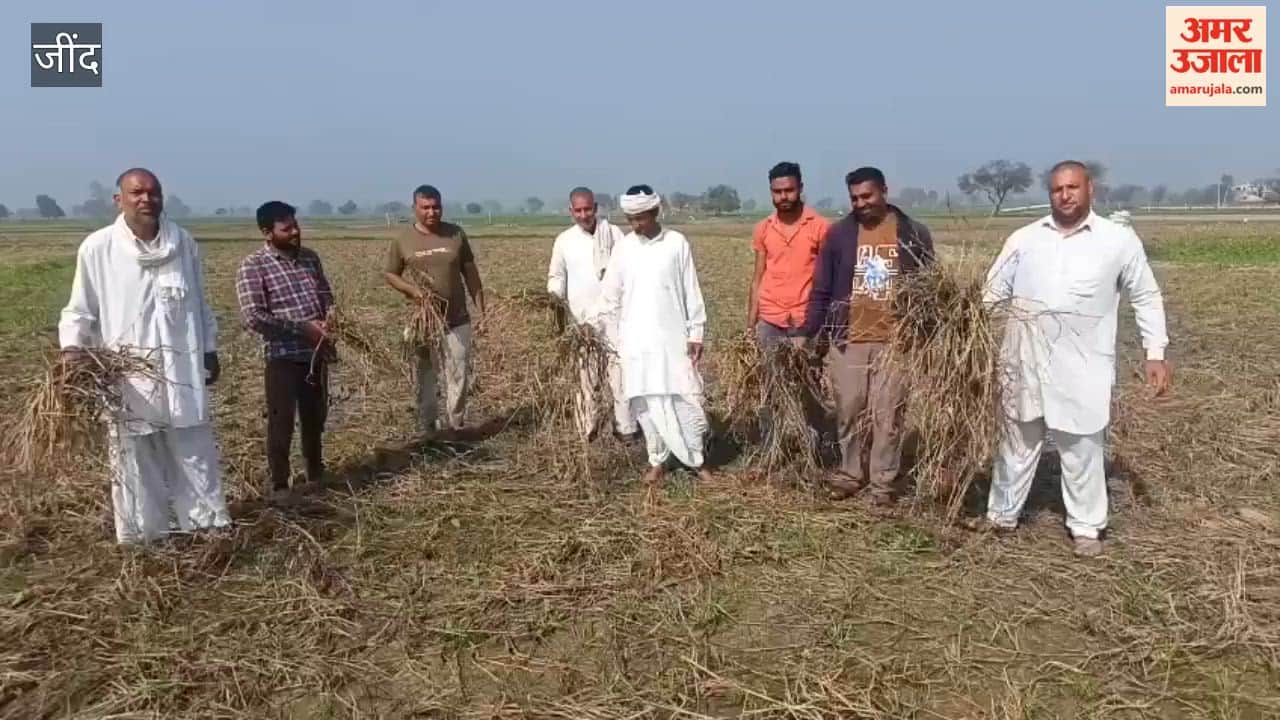 In Malvi village of Jind, wheat was not sown on 100 acres, causing anger among farmers due to lack of compensation.