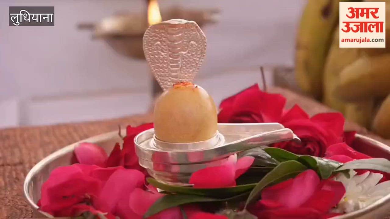 Divine Darshan of the sacred relics of the 1000-year-old Somnath Jyotirlinga in Ludhiana