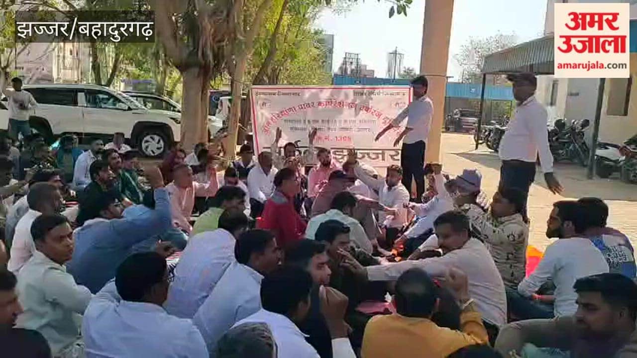 Electricity employees protested at the district level