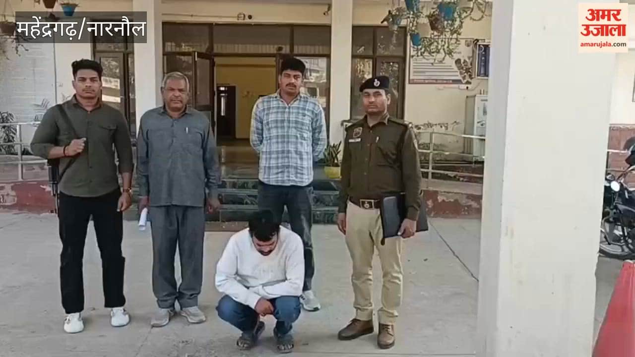 Member of interstate gang of thieves arrested