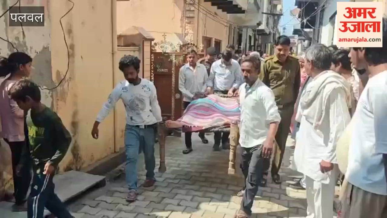 son beat his 65-year-old mother to death with bricks In Palwa