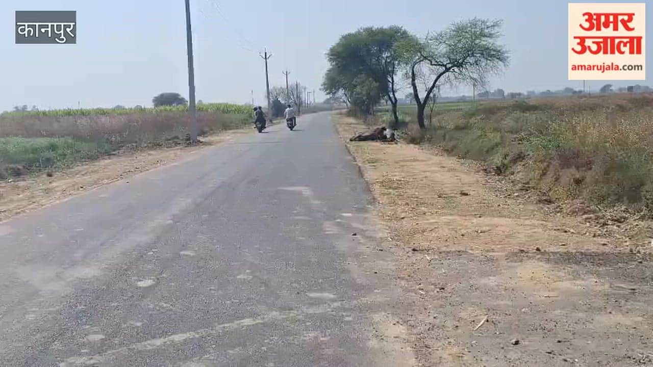 Dead animals are being dumped on the road, making life difficult for passersby and farmers