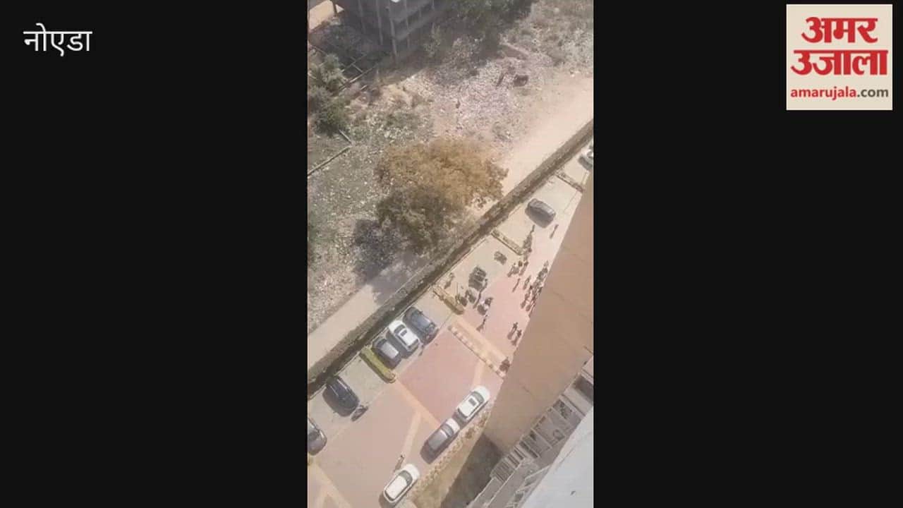 WhatsApp argument about dogs escalated into physical altercation