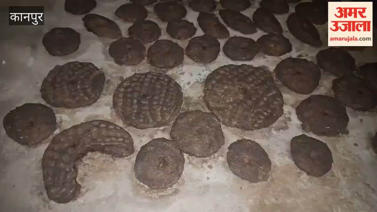 Cowdung balls being prepared for Holika Dahan in the Bhitargaon area