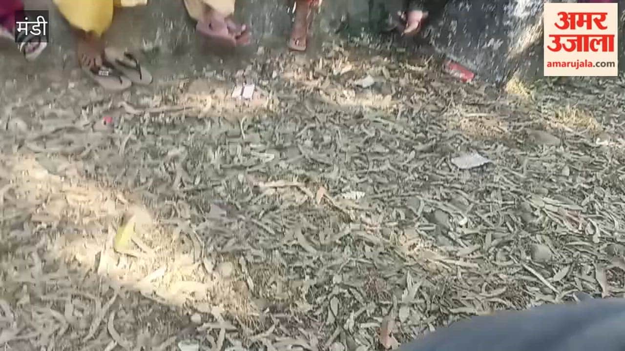 Mandi Ahead of Women's Day, drug de-addiction meetings intensify in villages