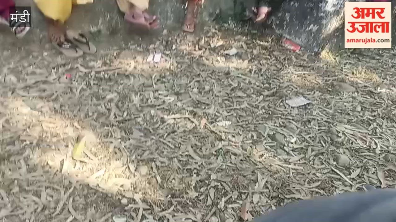 Mandi Ahead of Women's Day, drug de-addiction meetings intensify in villages