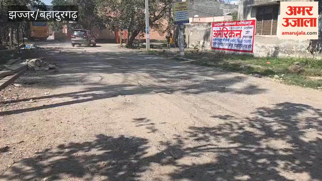 Potholes on the roads of Sector 6 in Bahadurgarh are troubling people, increasing the risk of accidents.