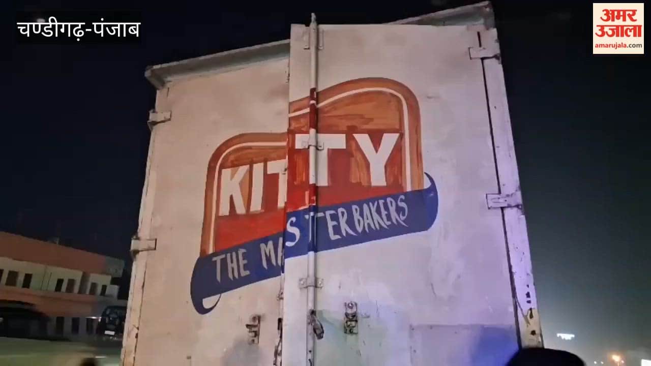 Cows were being smuggled in a Kitty Bread vehicle