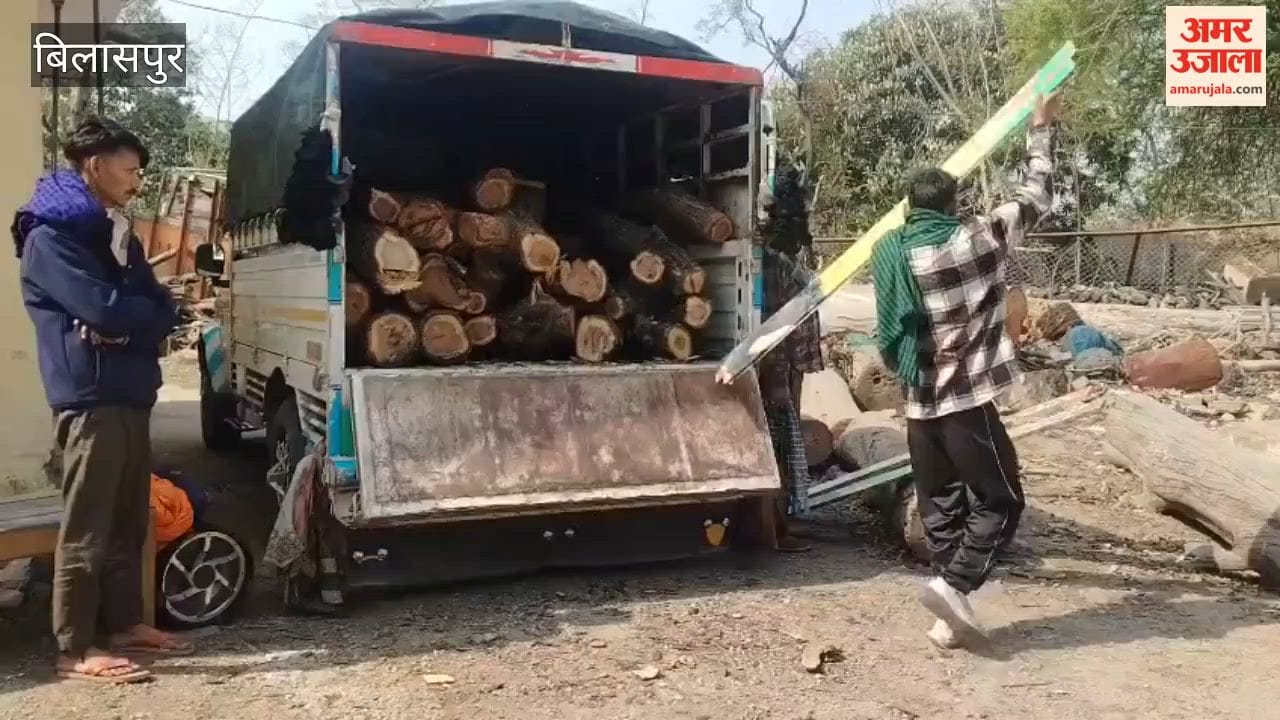 Bilaspur Pickup loaded with khair wood caught, three detained