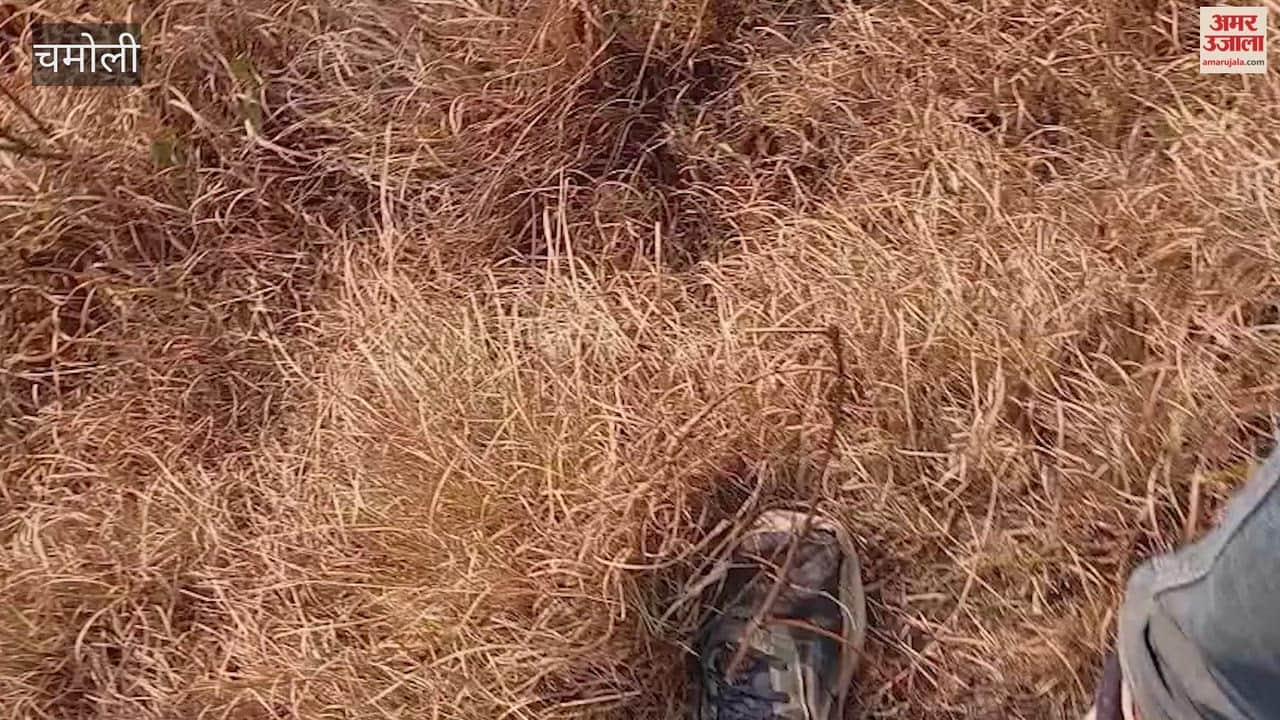 Chamoli: Fire broke out in forest panchayat land in Pokhari, prompt action by villagers and forest department averted major damage