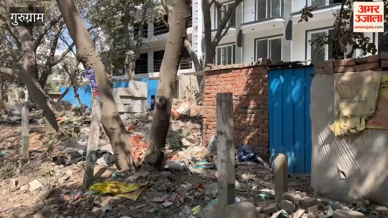 green area on road from Bakhtawar Chowk in Badshahpur is victim of encroachment