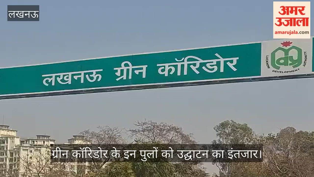 Video: ग्रीन कॉरिडोर के इन पुलों को उद्घाटन का इंतजार