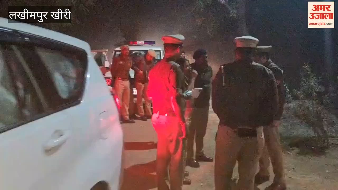 Two youths misdeeds a disabled teenager one accused arrested in police encounter