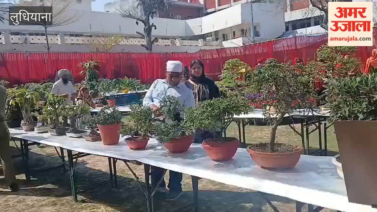 Flower show at Guru Singh Sabha Gurdwara, Ludhiana