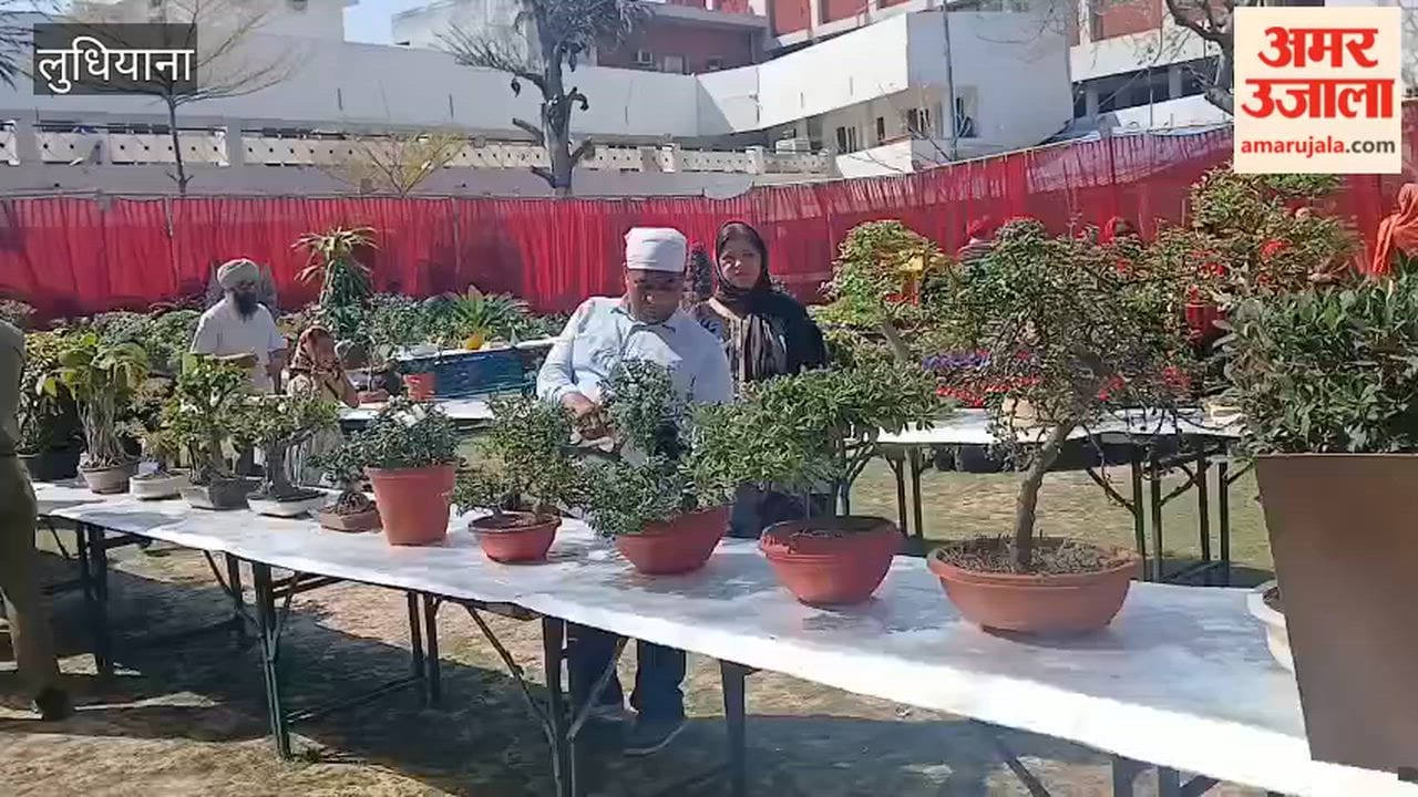 Flower show at Guru Singh Sabha Gurdwara, Ludhiana