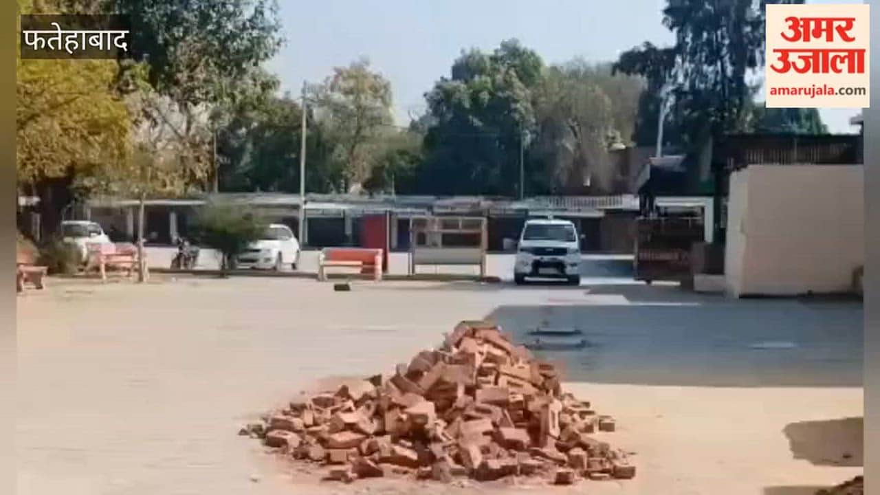 CIA police arrested a thief in Tohana, Fatehabad, revealing several crimes.