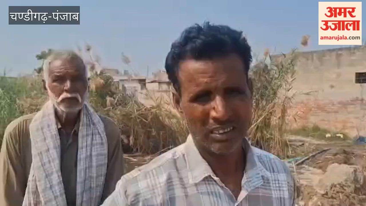 Leptospirosis bacteria spread in village Hazara Singh Wala