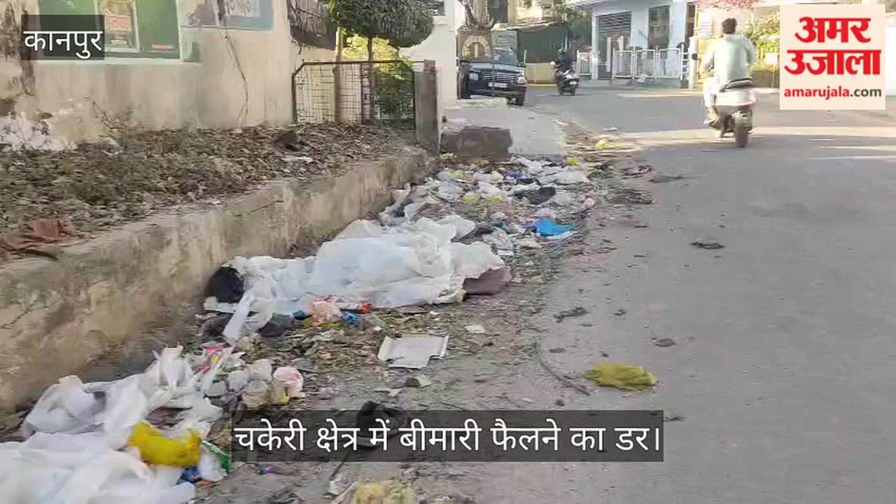 लाल बंगला: कूड़े के ढेर और सड़ांध से जनता त्रस्त, स्वच्छता अभियान को लग रहा पलीता