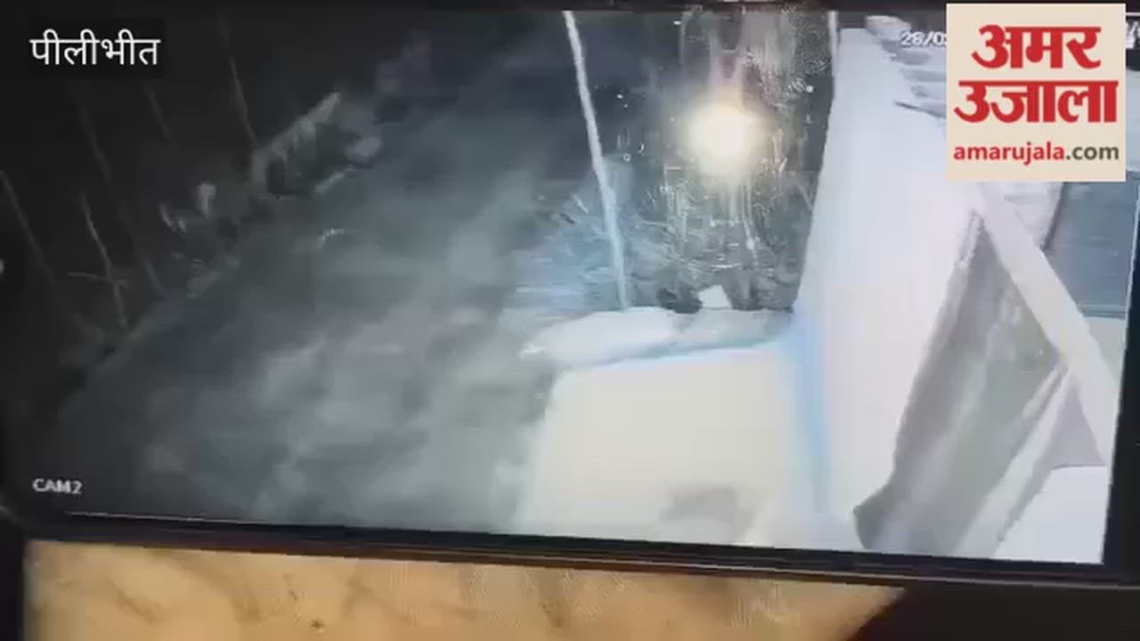 Two leopards entered the house at night in Pilibhit