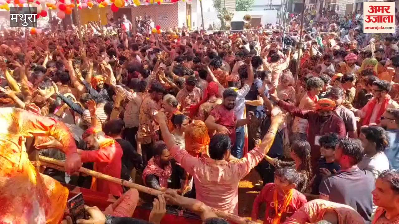 chhadimar holi celebrated gokul mathura