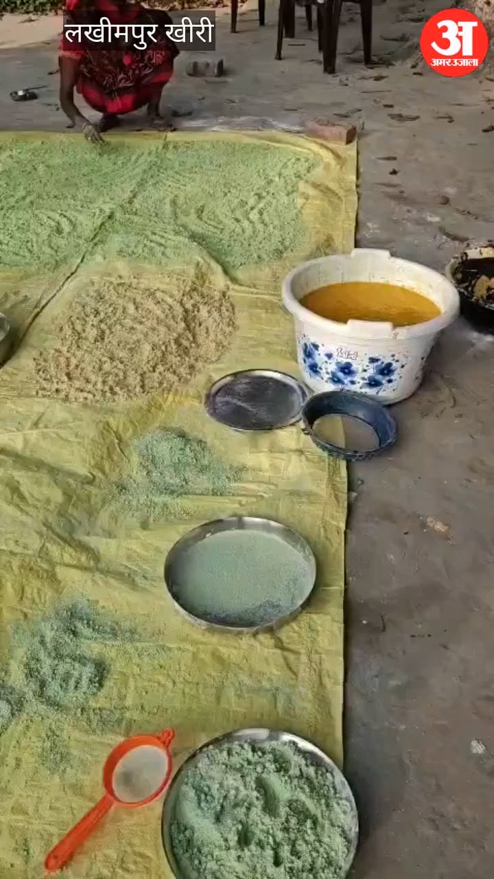 Video: लखीमपुर खीरी में मंदिरों के चढ़े फूलों से तैयार हो रहा गुलाल, होली पर खूब हो रही बिक्री