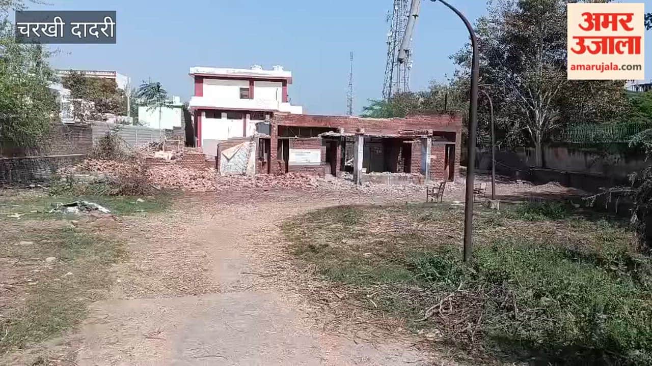 Forest department will plant trees