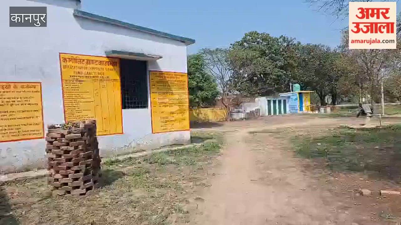 school has become jungle, children have stopped playing there due to fear of bushes and poisonous creatures