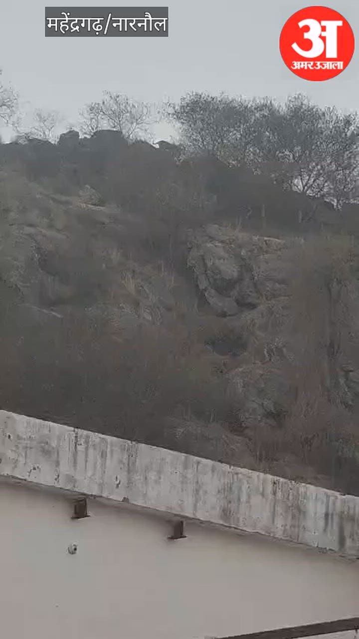 नारनौल: आबादी क्षेत्र के पास दिखा तेंदुआ, कैमरे में हुआ कैद