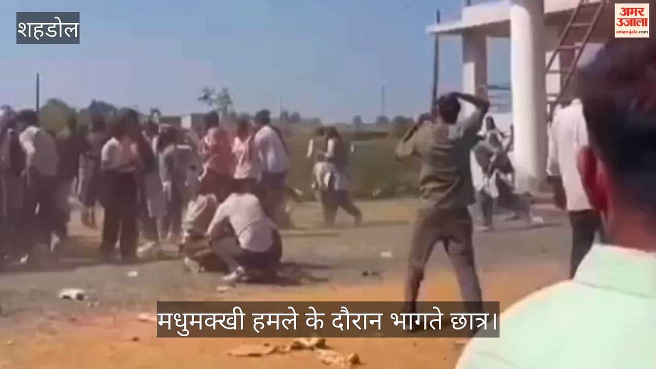 Holi celebrations at university disrupted, with bee attacks causing a stampede and a brawl among students.