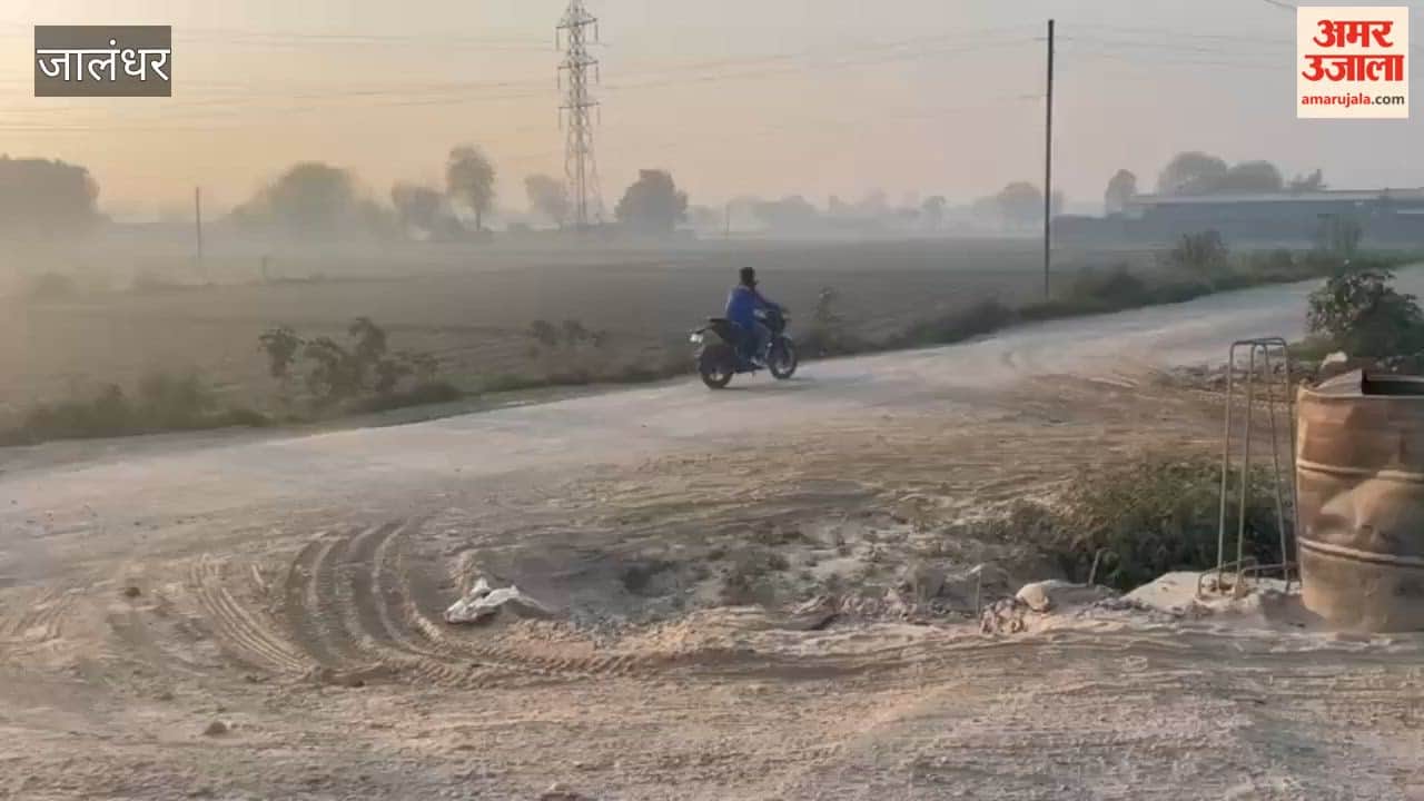 Humanity shamed in Jalandhar, thief escapes with deceased's purse and mobile