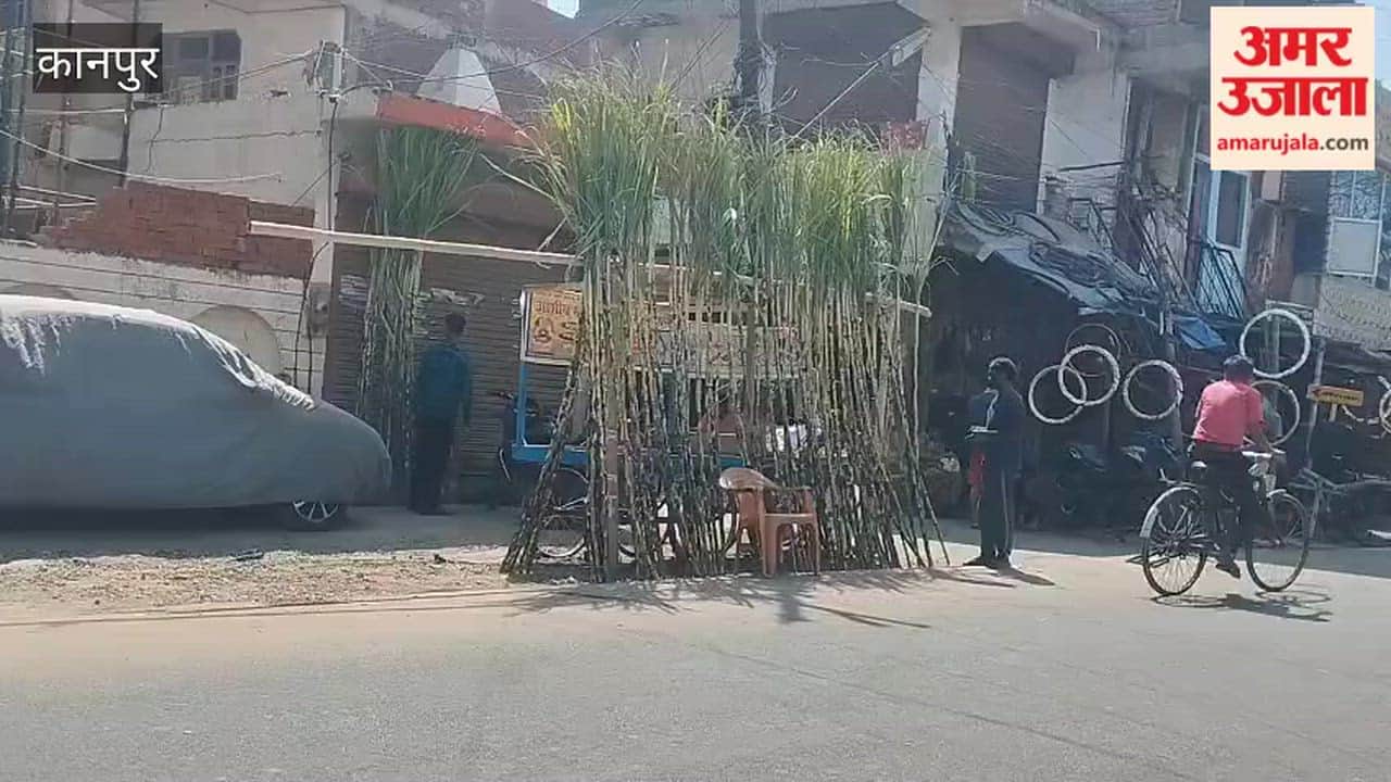 Kanpur: Sugarcane shops decorated for the Holi festival