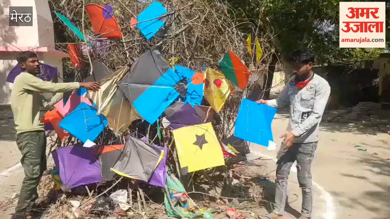 Meerut: Chinese manjha and kite burnt along with Holika