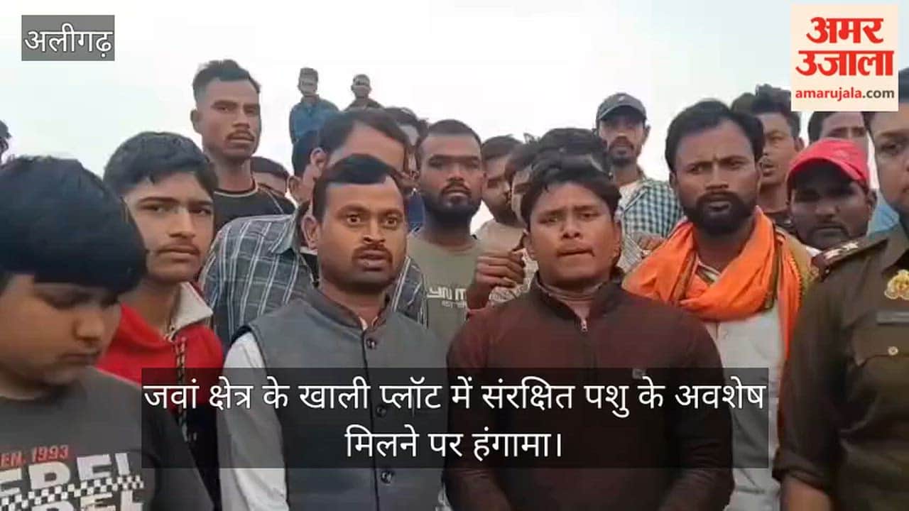 जवां क्षेत्र के खाली प्लॉट में संरक्षित पशु के अवशेष मिलने पर हंगामा