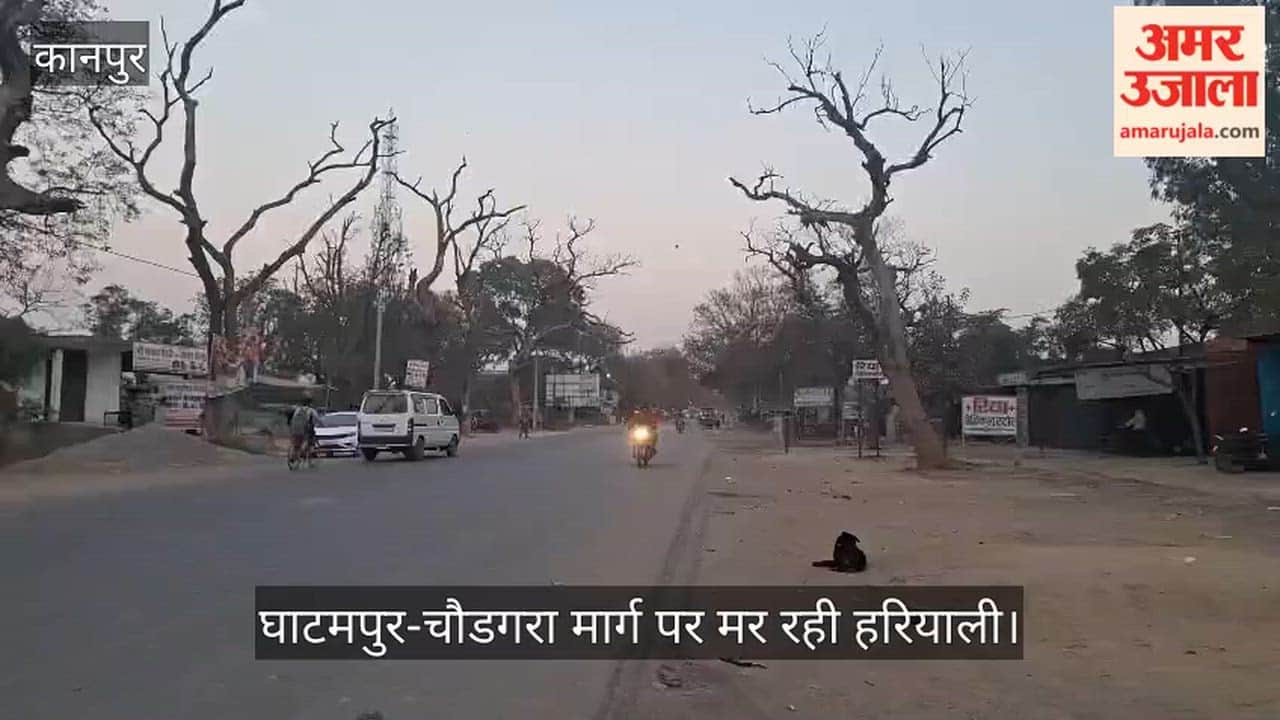 कानपुर: मुगल रोड पर हरियाली का 'दम' घोंट रहा जहरीला धुआं; ईंट-भट्टों की कालिख से ठूंठ बन रहे पुराने पेड़