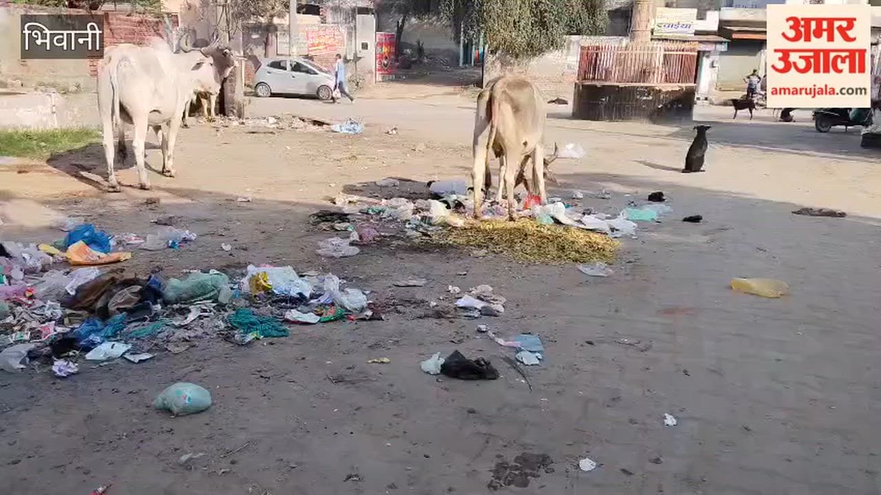 Sanitation workers' strike continues for the fourth day in Bhiwani's Loharu, increasing the city's filth crisis.