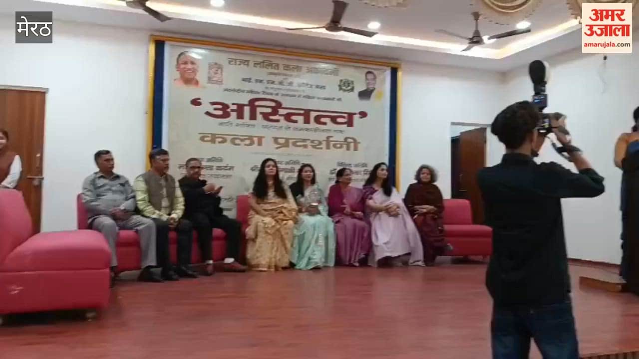 Meerut: Three-day art exhibition concludes