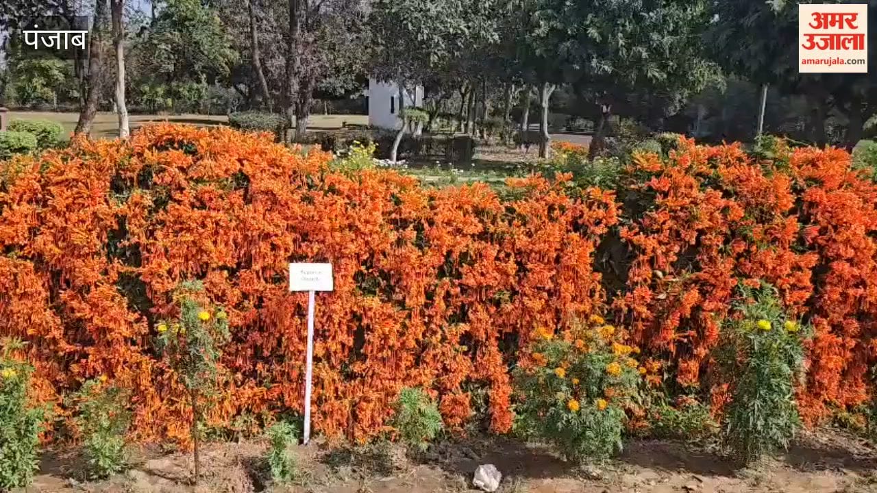 Flower show organised at Pushpa Gujral Science City