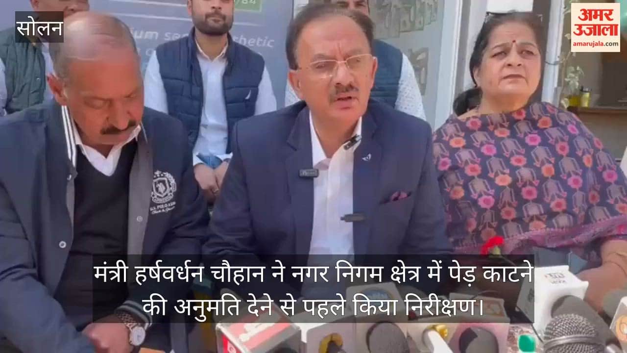 Solan: Minister Harshvardhan Chauhan inspected the municipal corporation area before granting permission to cut trees.