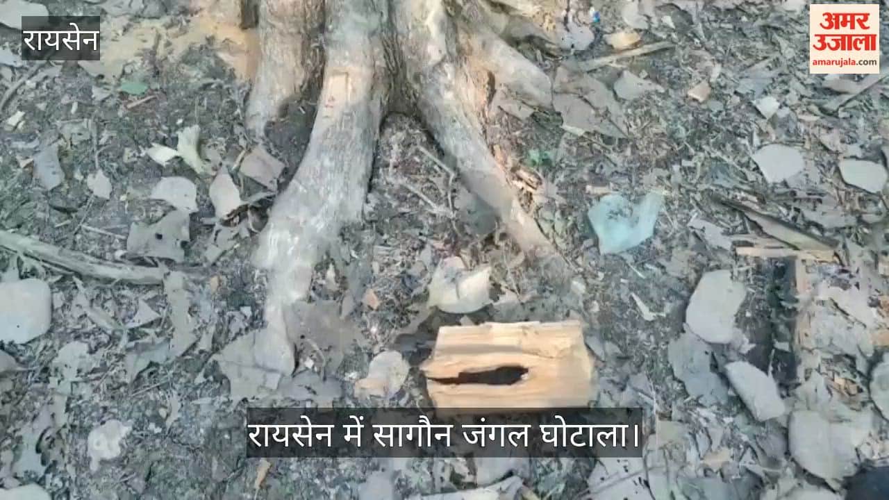 Teak Scam in Raisen: Youth who complained about deforestation becomes accused