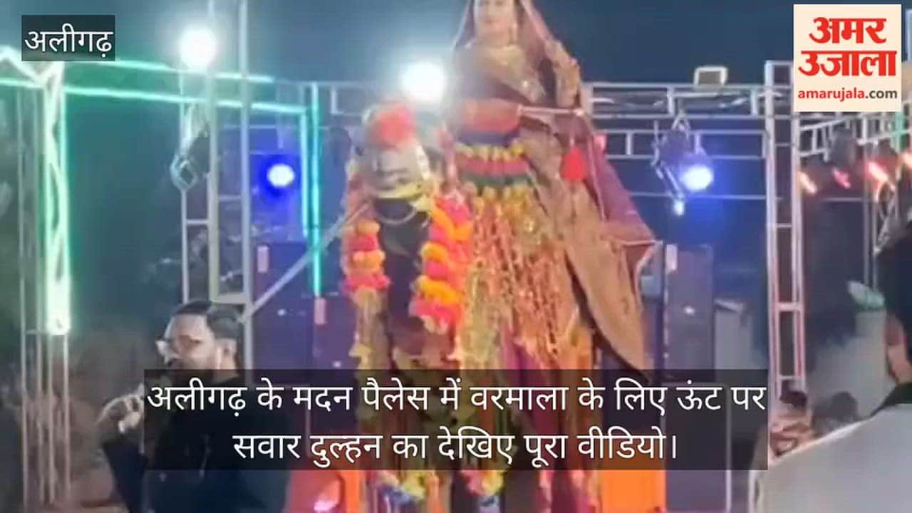 अलीगढ़ के मदन पैलेस में वरमाला के लिए ऊंट पर सवार दुल्हन का देखिए पूरा वीडियो