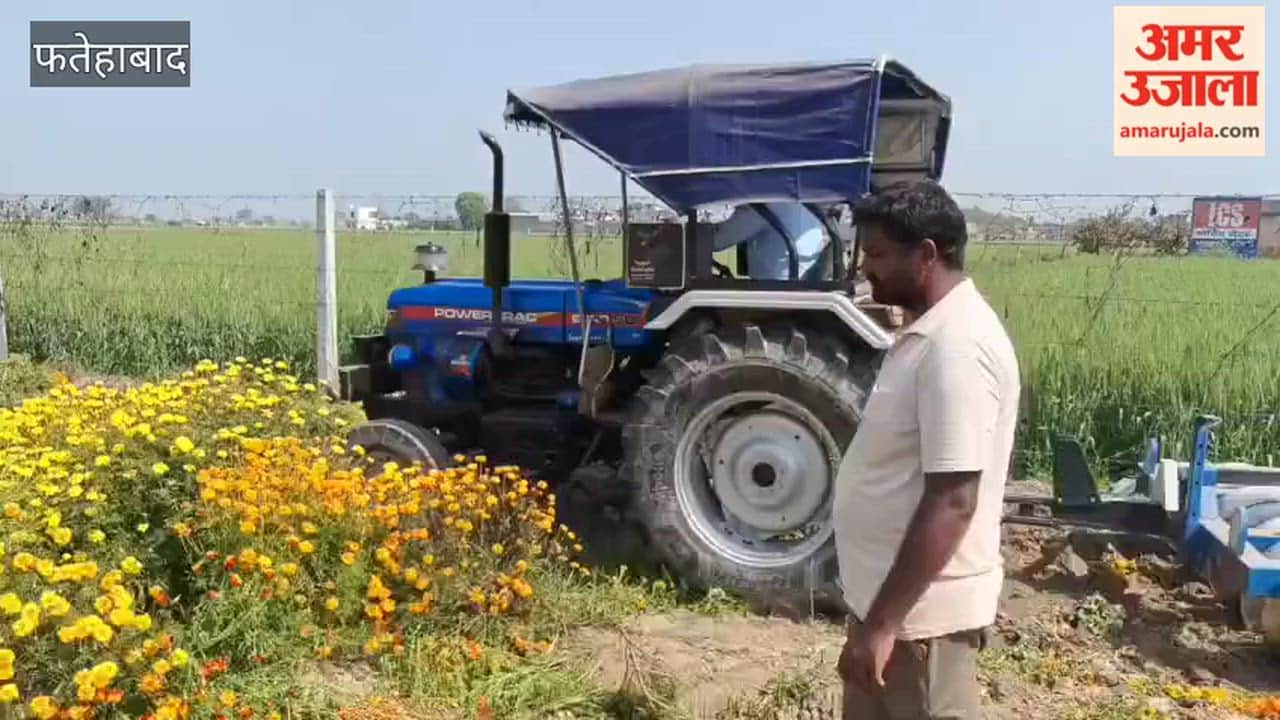 farmer in Fatehabad drove a tractor over a standing flower crop, claiming he was incurring losses due to low prices