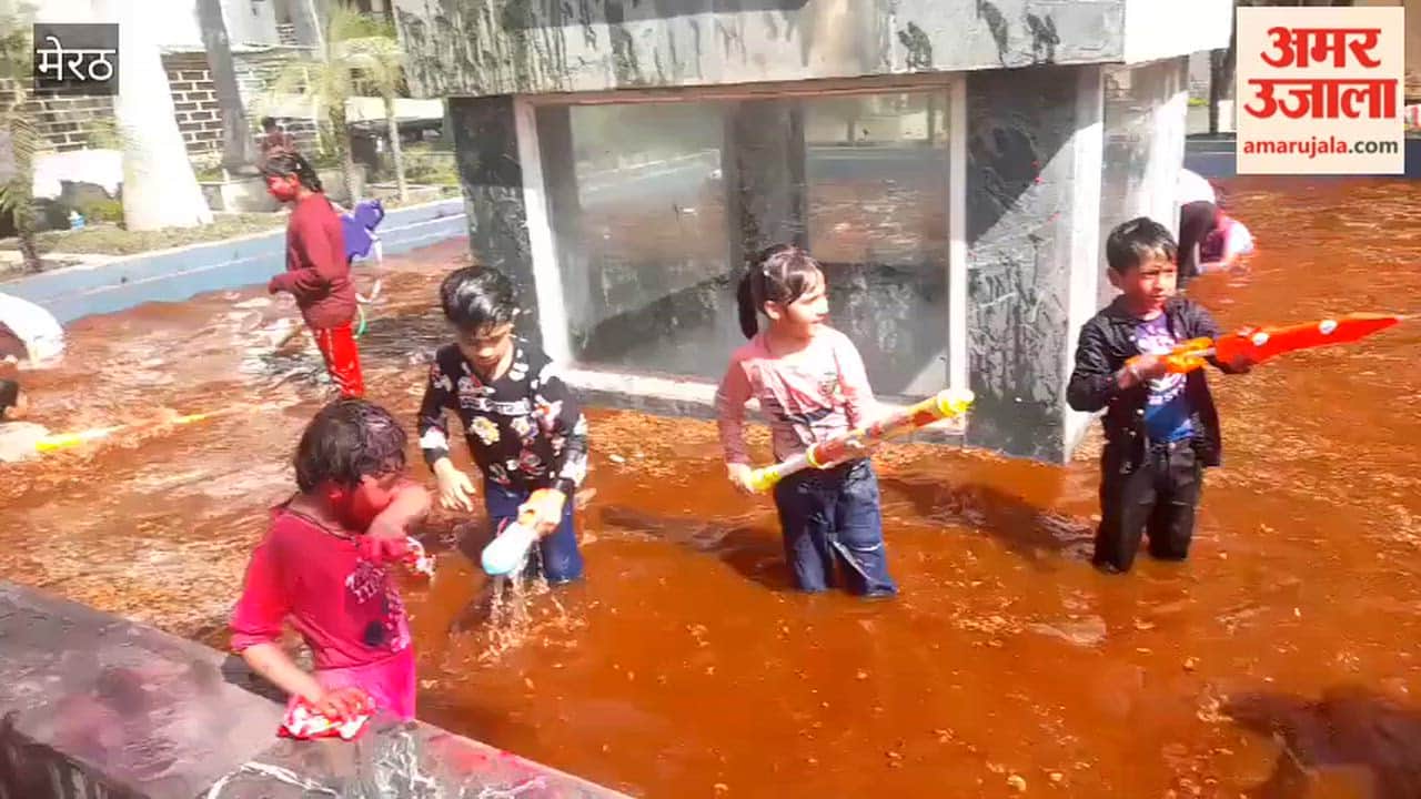 Meerut: Children played Holi in the flower pond of Tesu.