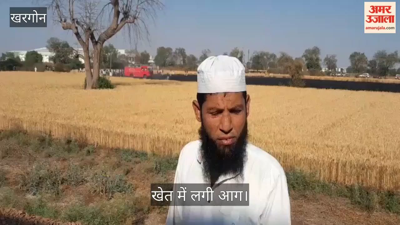 Wheat crop destroyed by fire in the field