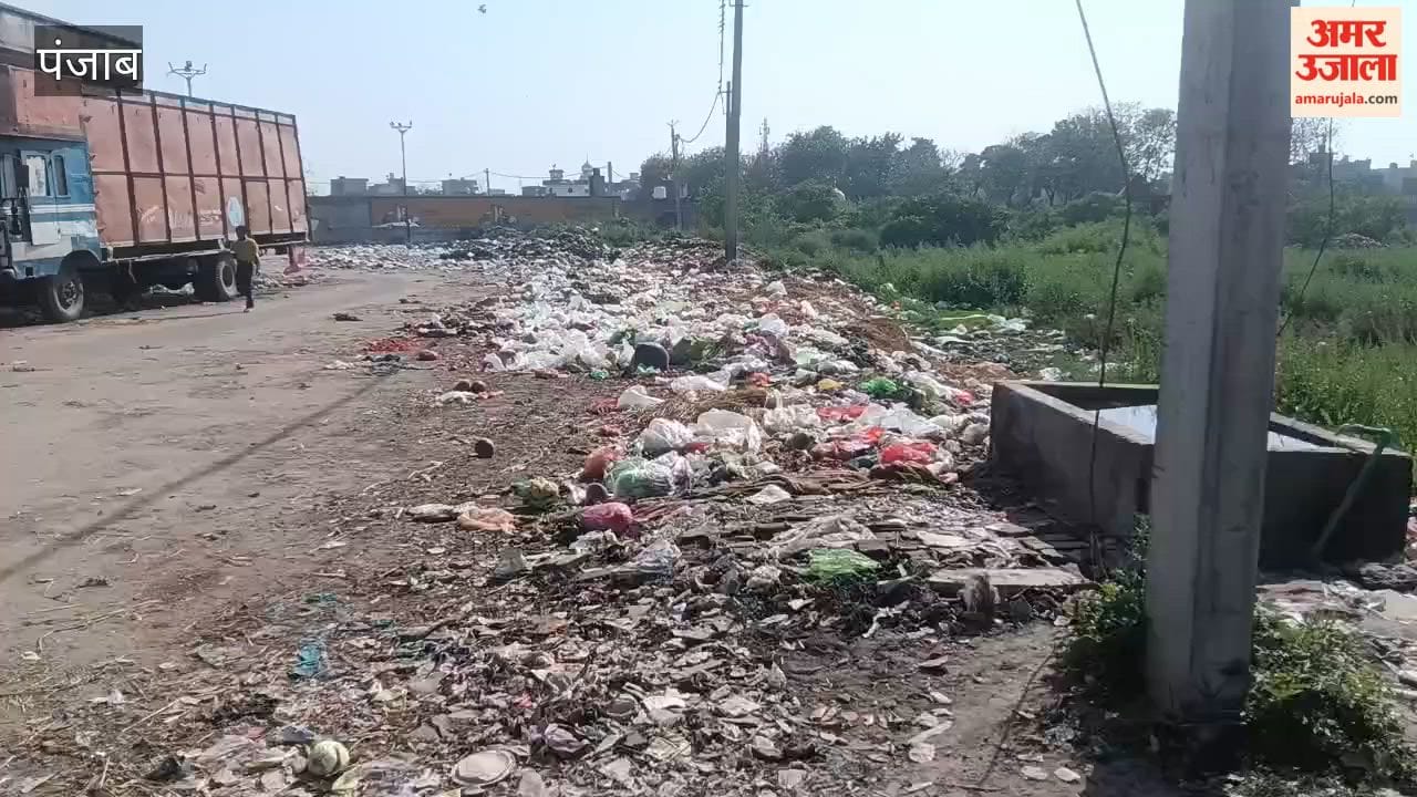 Piles of garbage pile up in the vegetable market of Phagwara, the municipal administration fails to collect the garbage.