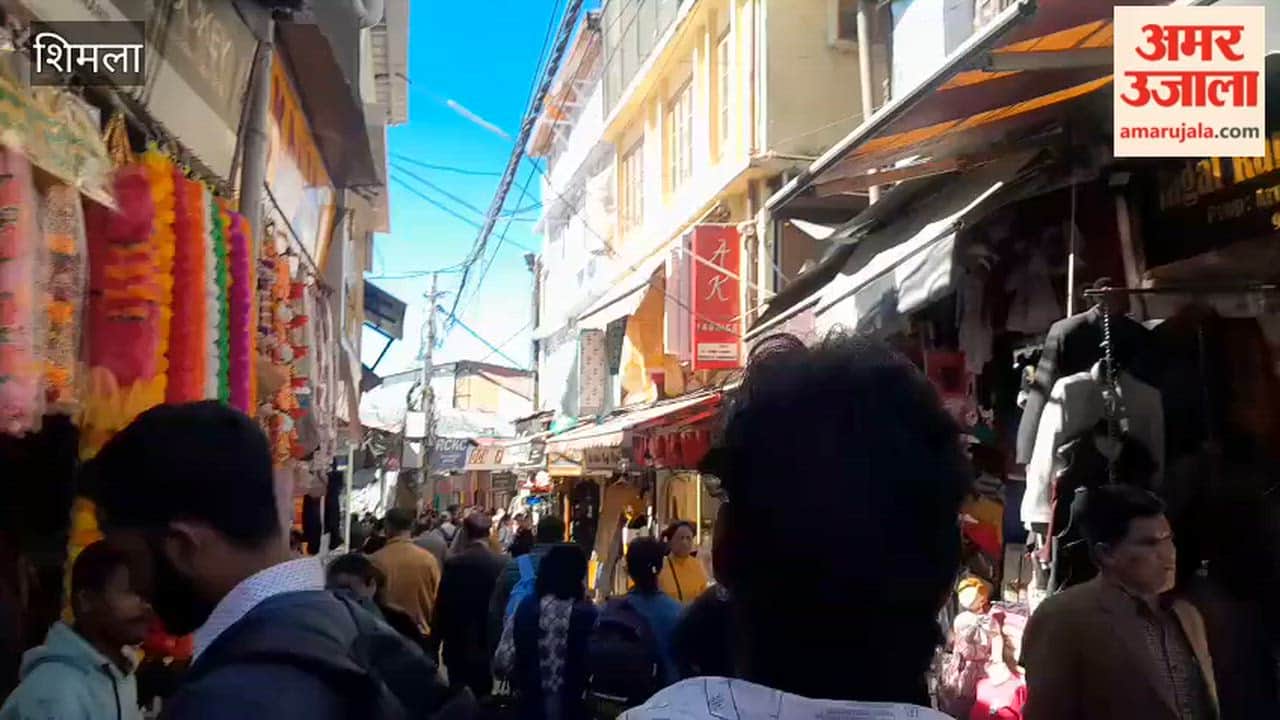 Shimla Lower market becomes lively for shopping before Holi
